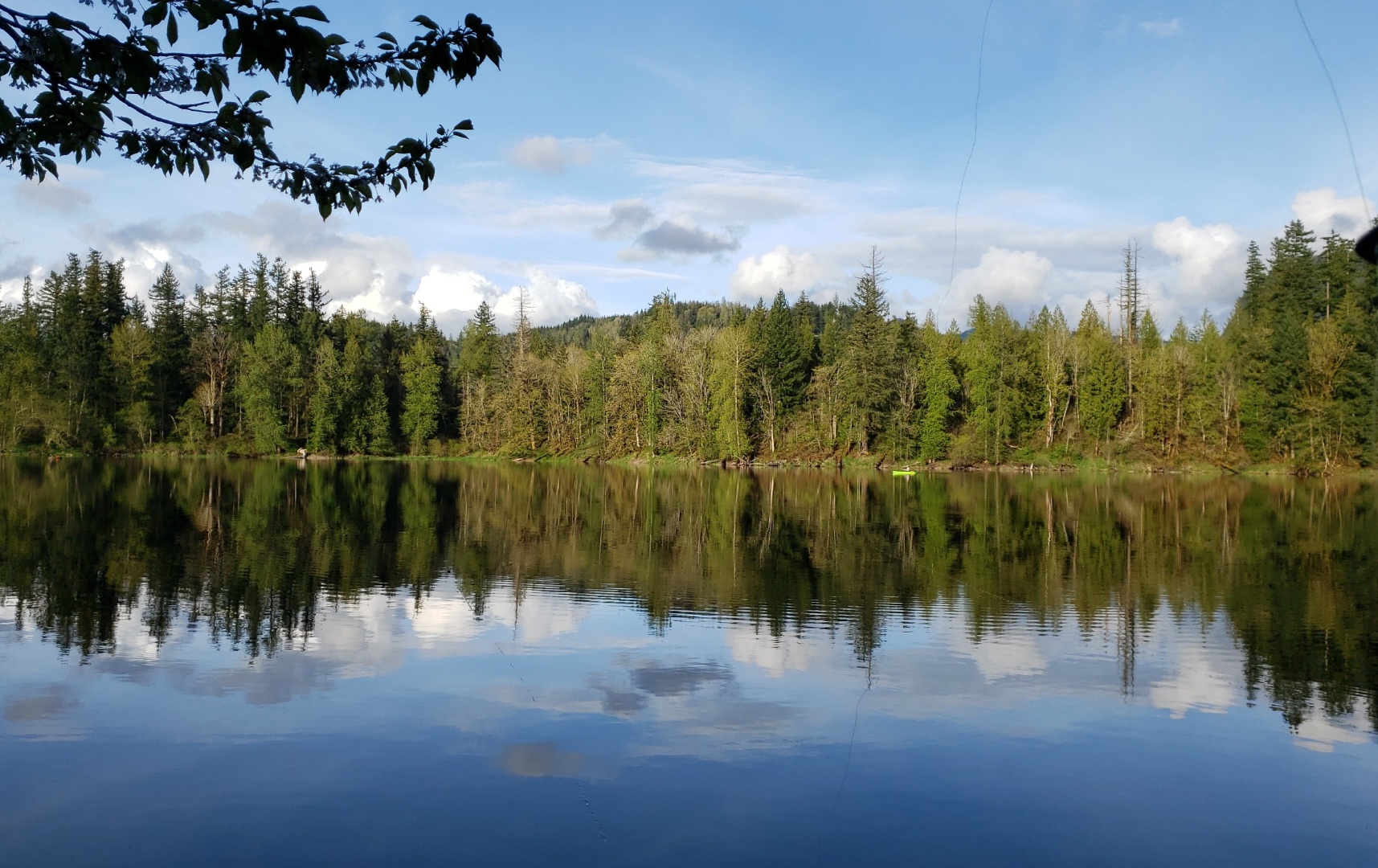 Discover: the Beauty of Nolte State Park – Enumclaw’s Hidden Gem