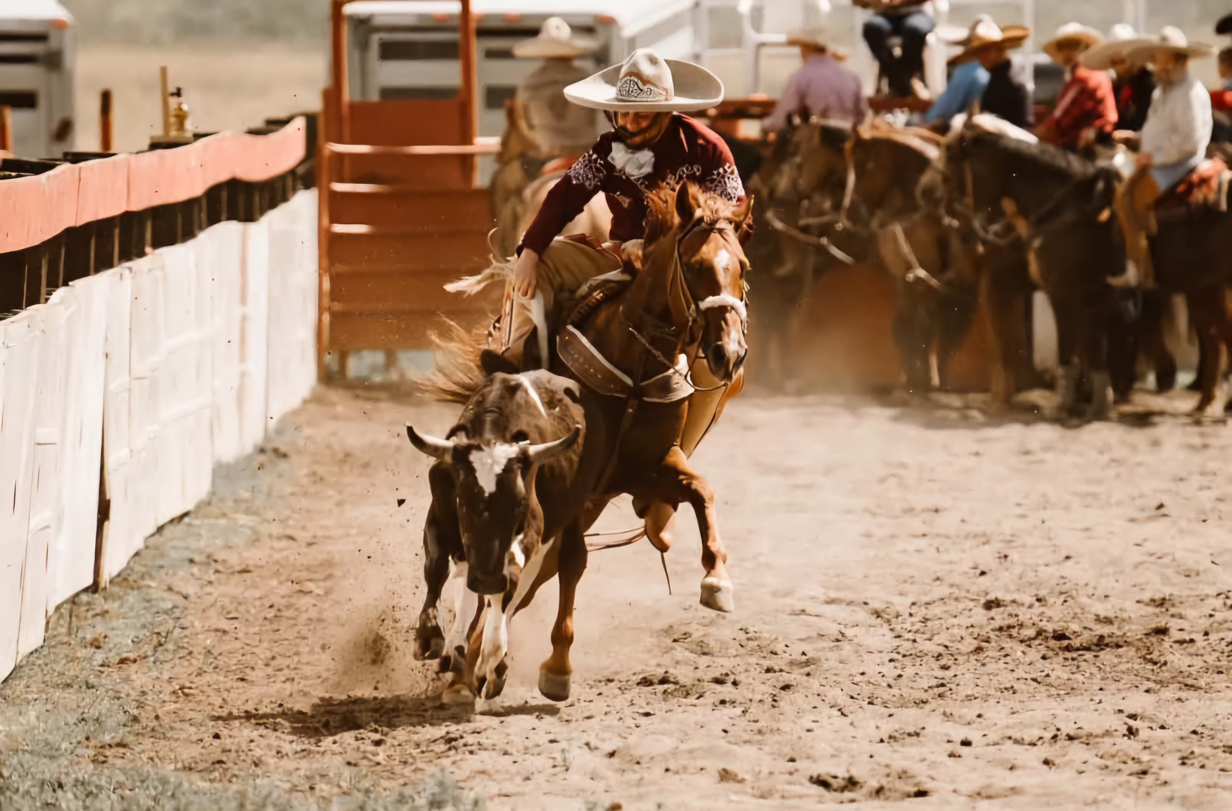 Meet Edgar: Sales Manager, Rodeo Competitor, and Horse Enthusiast!