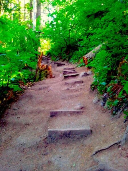 Watterson 24 hour Climb Mount Peak Foundation For Grieving Children